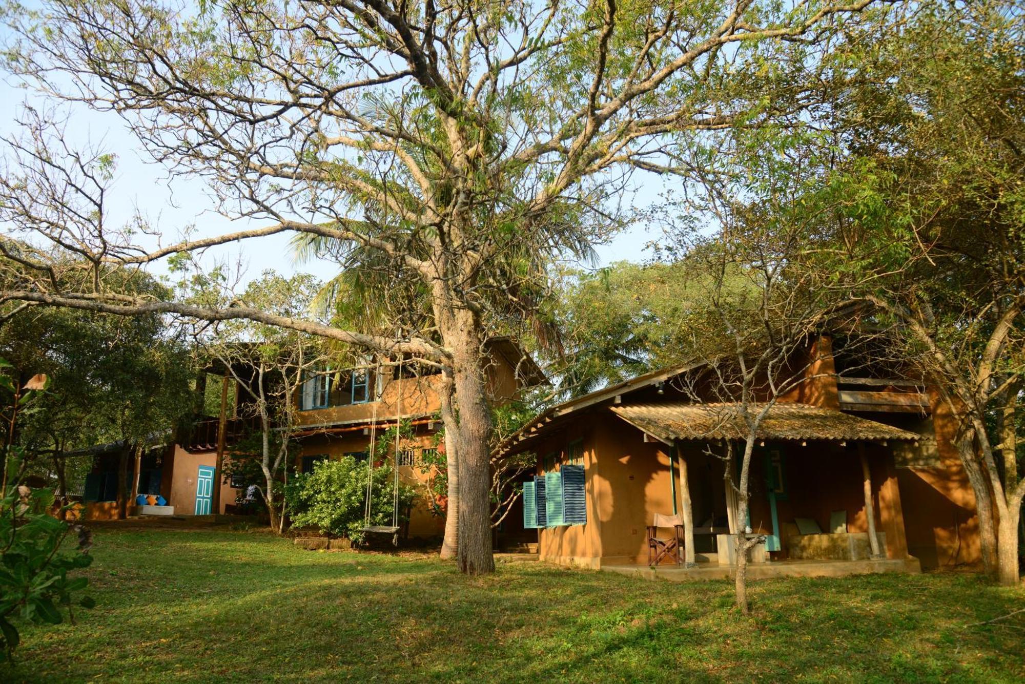 הוילה טנגלה Back Of Beyond - Wellness Retreat חדר תמונה